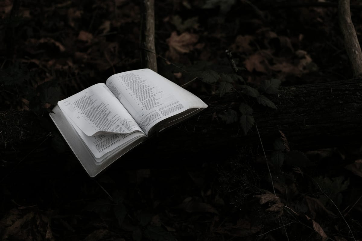 Open book showing pages