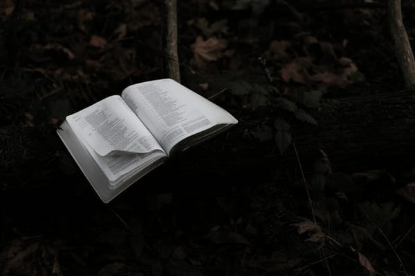 Open book showing pages